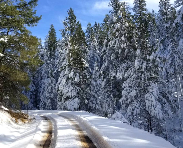 snowy road